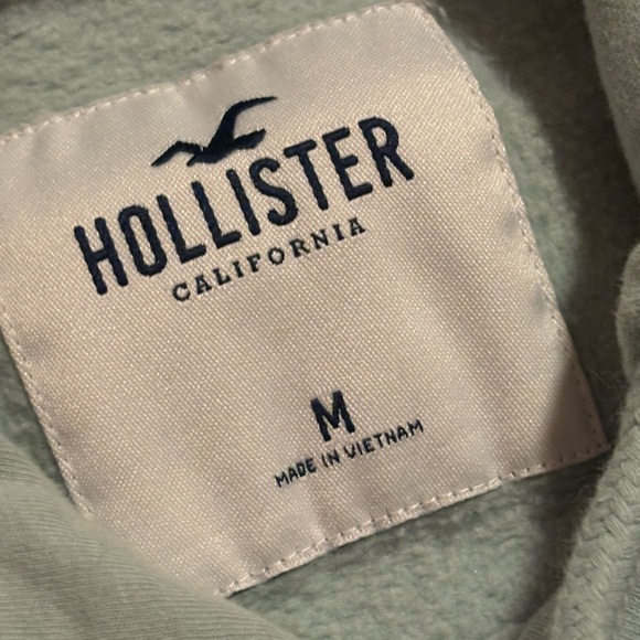 Hollister Mint Green Daisy Cropped Boyfriend Hoodie - Picture 2 of 3